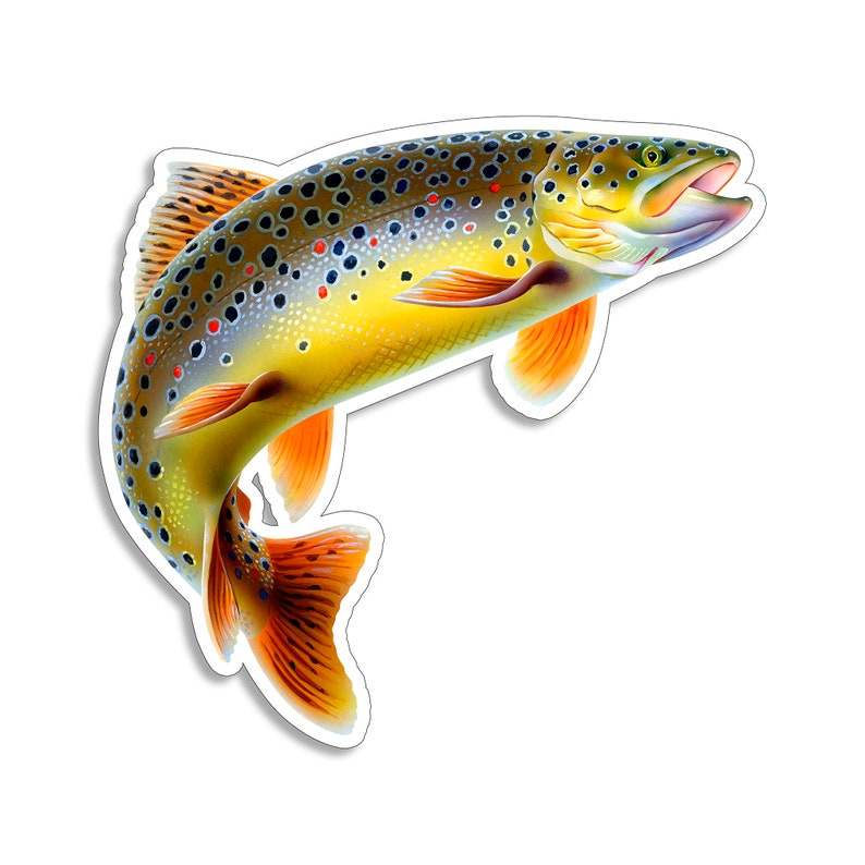 Brown Trout Fish Sticker